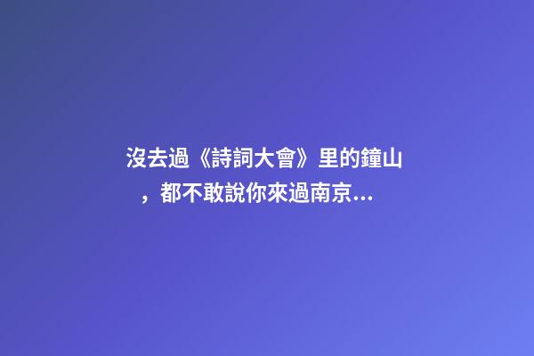 沒去過《詩詞大會》里的鐘山，都不敢說你來過南京！